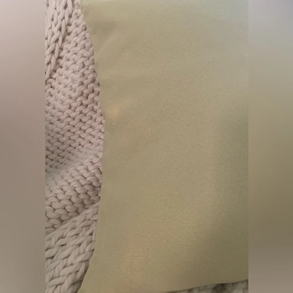 Pottery Barn Light Green Pillow Covers 18” Inserts not included